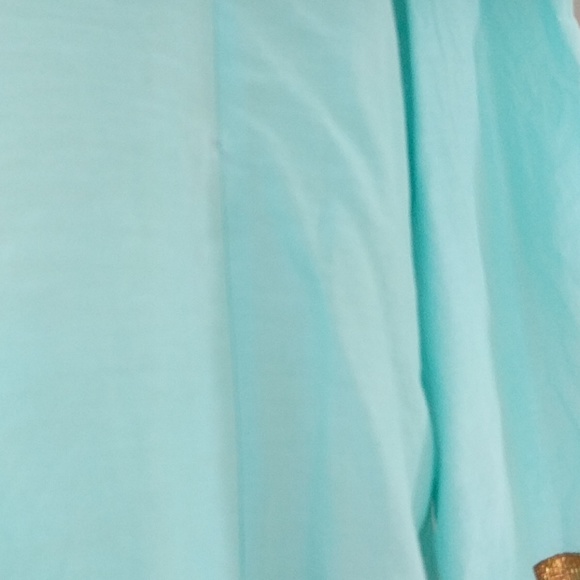 Soft Surroundings Beaded Tunic - Picture 4 of 7